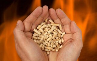 Bambus Energie Pellets