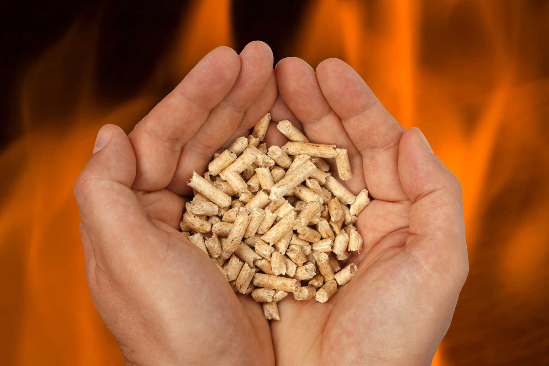 Bambus Energie Pellets