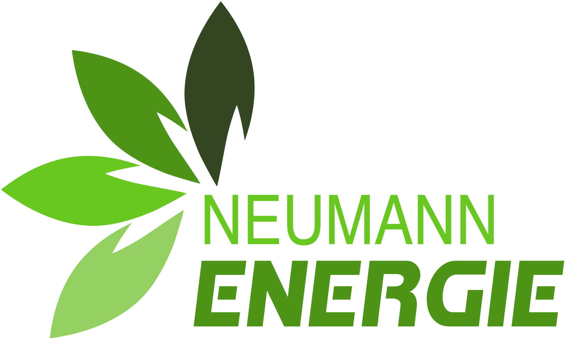 Neumann Energie, Bambuspellets, Holzpellets