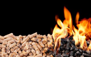 Pellets aus 100% nachwachsenden Rohstoffen