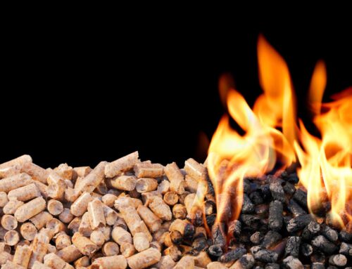 Warum Sie Holzpellets als Energieträger nutzen sollten