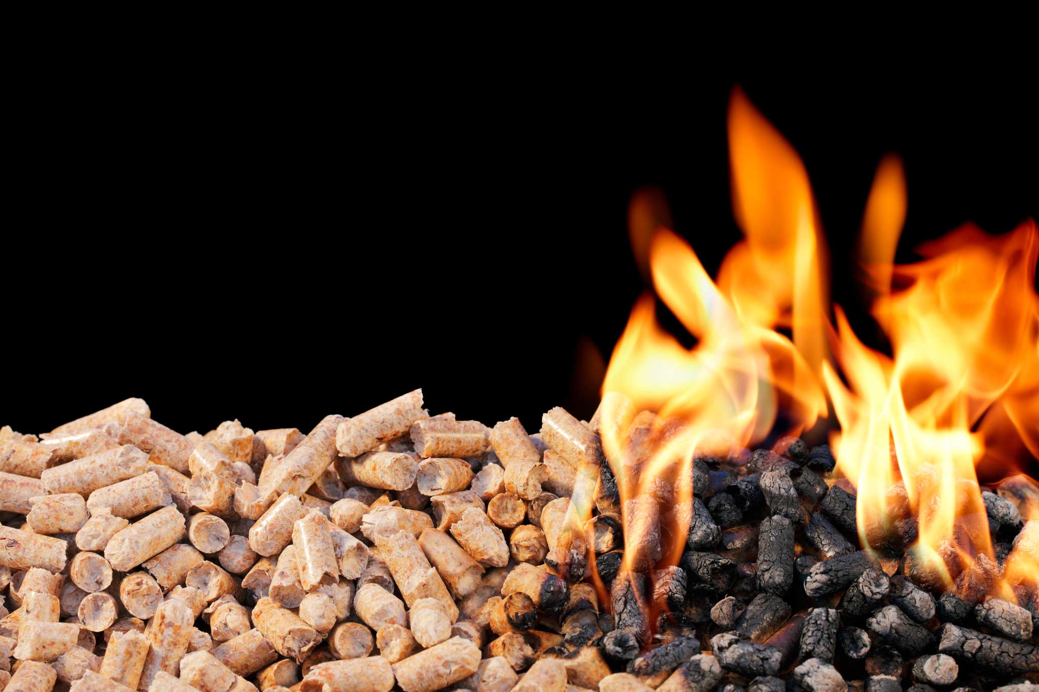 Pellets aus 100% nachwachsenden Rohstoffen