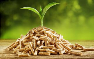 Pellets – die clevere Alternative zu Gas und Öl