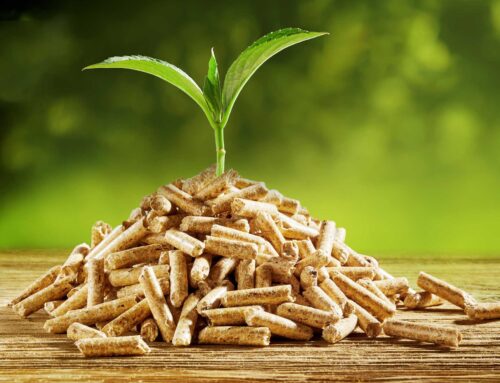Pellets – die clevere Alternative zu Gas und Öl