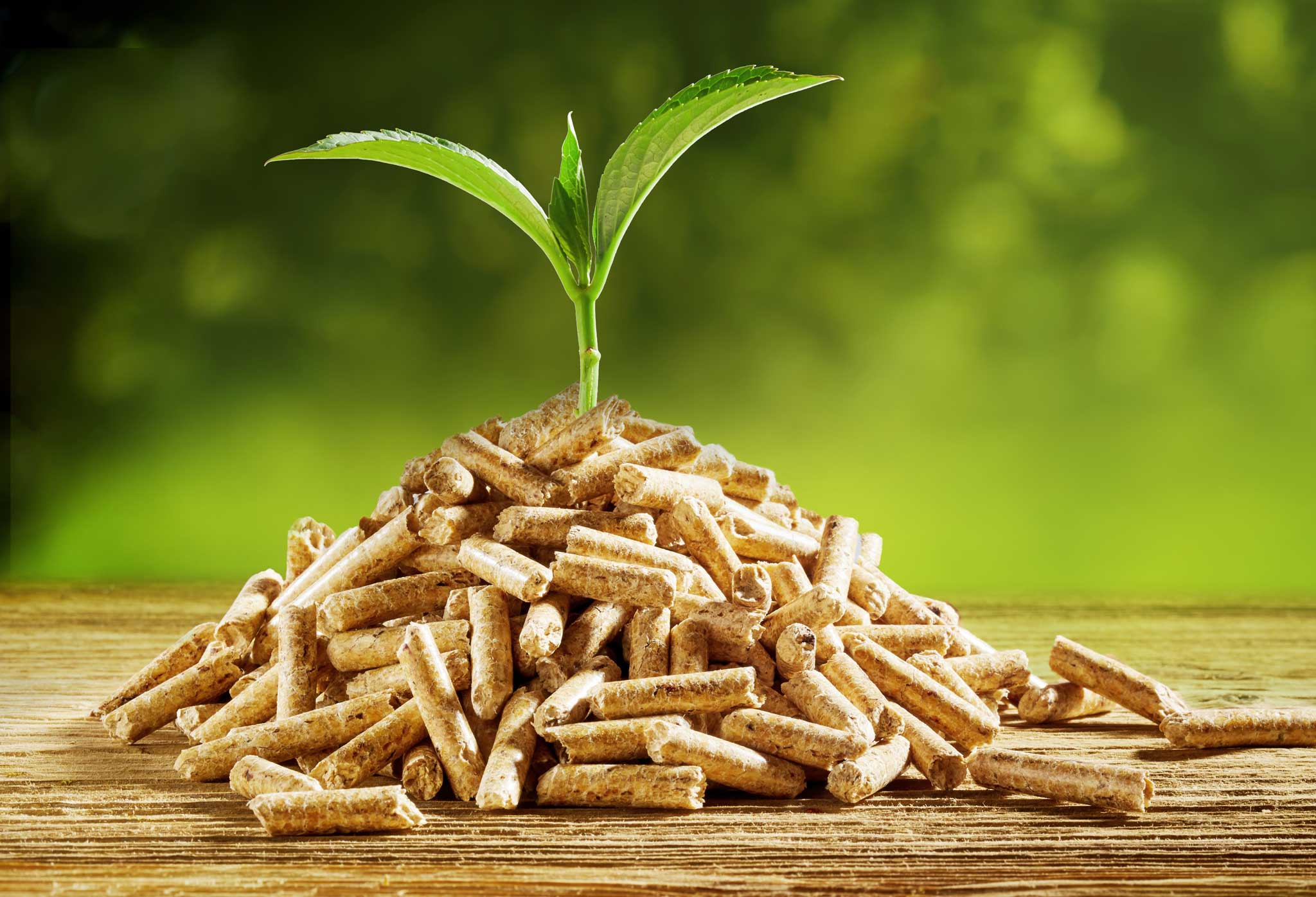 Pellets – die clevere Alternative zu Gas und Öl