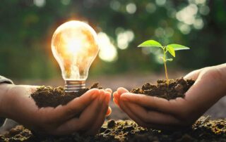 Förderung erneuerbarer Energien – eine Investition in die Zukunft