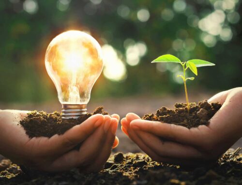 Förderung erneuerbarer Energien – eine Investition in die Zukunft