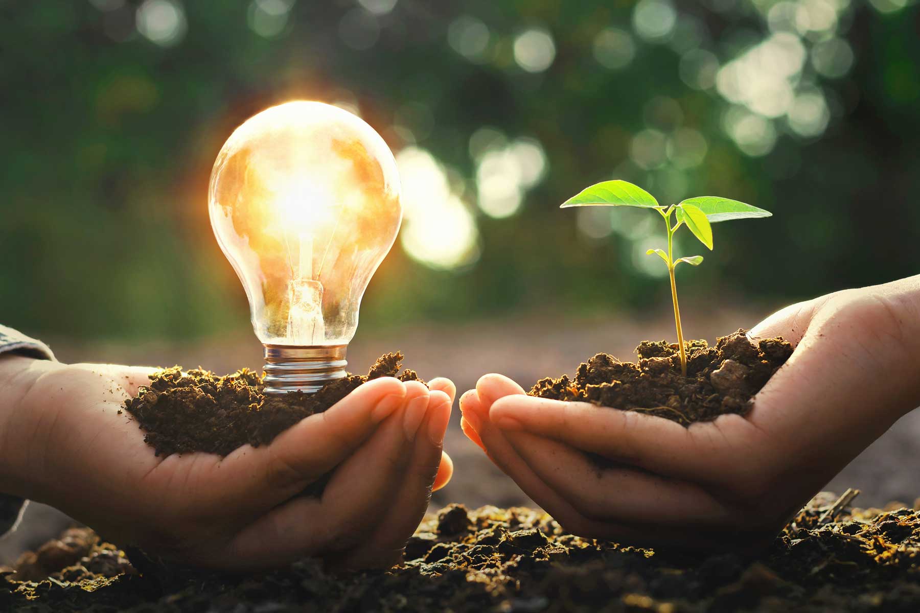 Förderung erneuerbarer Energien – eine Investition in die Zukunft